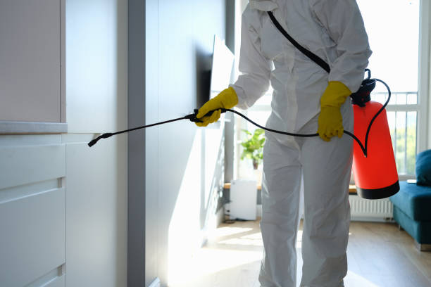 Best Residential Mold Removal  in Stevensville, MI